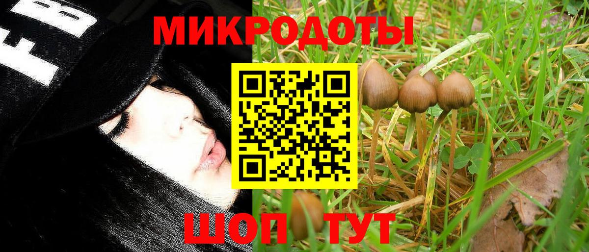 Галлюциногенные грибы мухоморы  Вход с VPN  цена   Когалым 