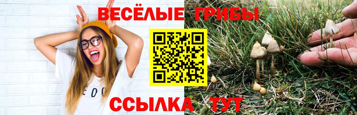 Галлюциногенные грибы прущие грибы  Когалым 