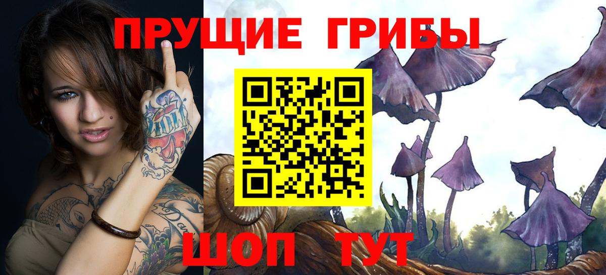 Псилоцибиновые грибы Cubensis Когалым